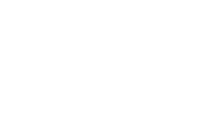 LOGO SWF White